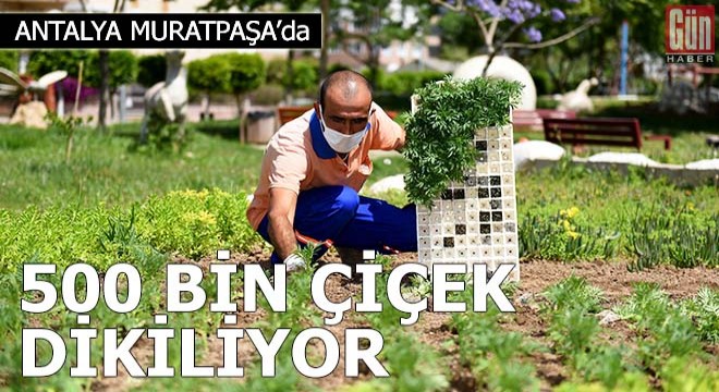 Muratpaşa'da 500 bin çiçek dikiliyor