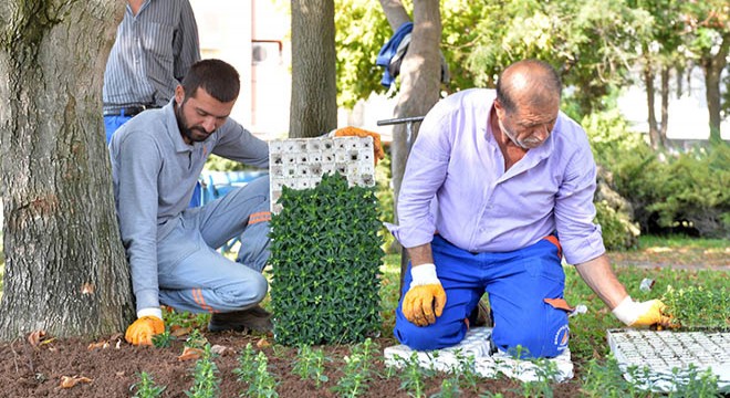 Muratpaşa'da kış hazırlığı