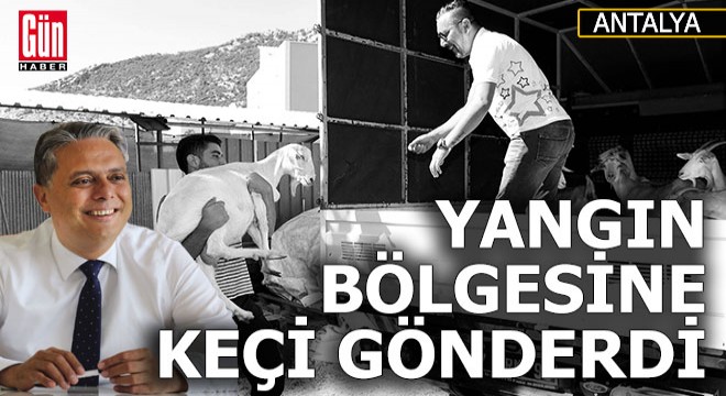 Muratpaşa'dan yangın bölgesine keçi bağışı