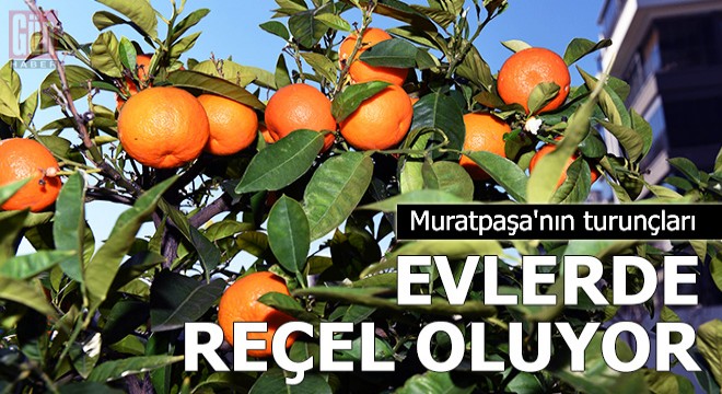 Muratpaşa'nın turunçları evlerde reçel oluyor