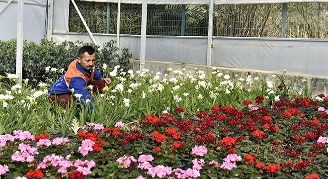 Muratpaşa parkları renklendirecek
