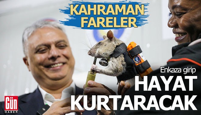 Muratpaşa, 'Kahraman fareleri' Antalya'ya getirdi