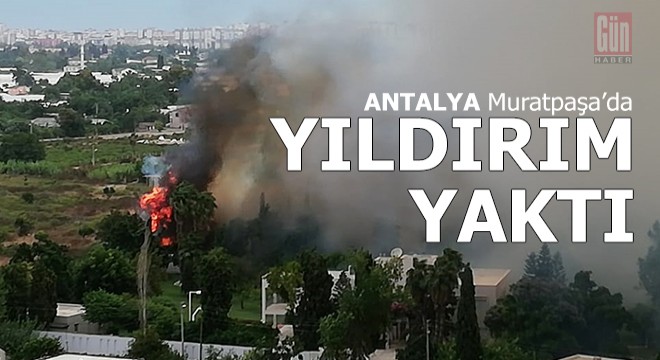 Muratpaşa da yıldırım düştü, ağaçları yaktı