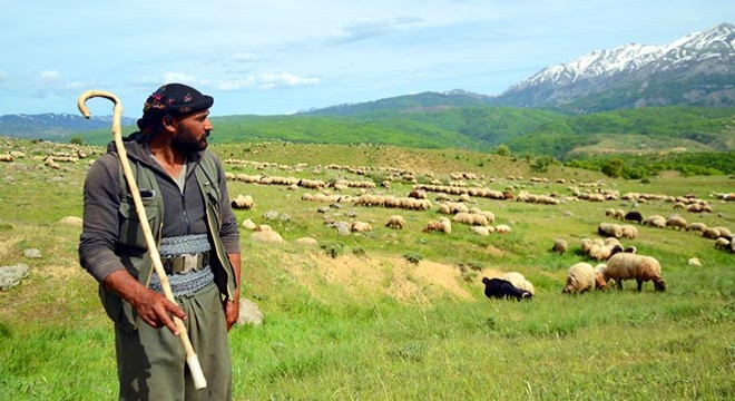 Muş’ta yaylalar şenlendi