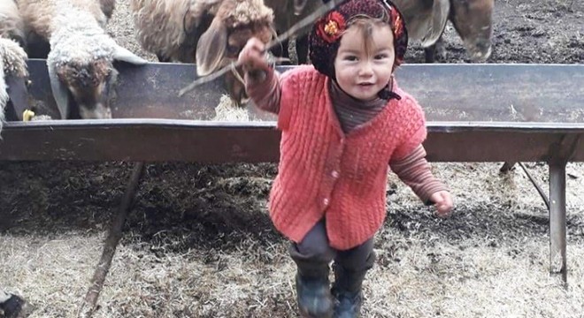 Müslüme davasında dedeye 'öldürme' ve 'cinsel istismar'dan ceza talebi