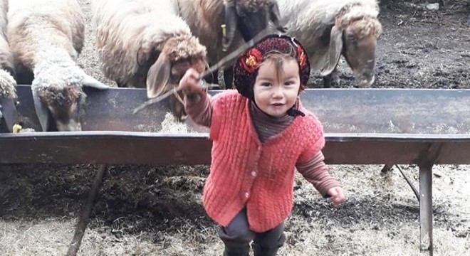 Müslüme sır oldu, jandarma 100'e yakın kişinin ifadesini aldı