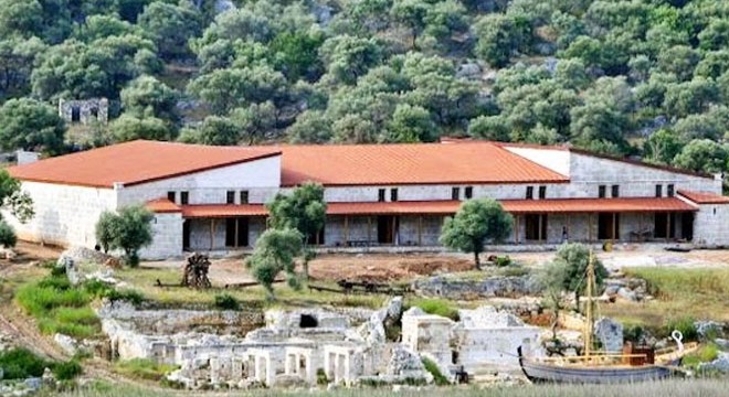Müzenin davetsiz misafiri ağa takıldı