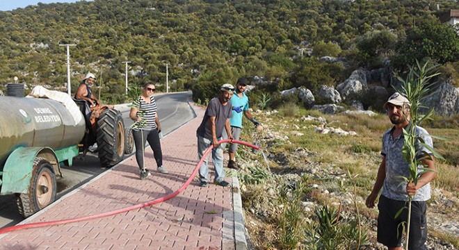 Müzeye yeşil yol