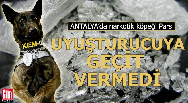 Narkotik köpeği Pars, uyuşturucuya geçit vermedi