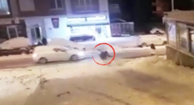 Naylon poşetle kayanlara otomobil çarptı: 1 hafif yaralı