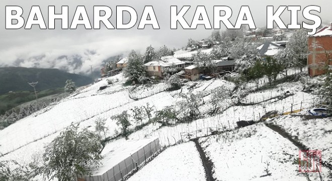 Neredeyse Haziran'a geldik ama kara kış devam ediyor