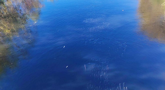 Nifrit Deresi'nde kirlilik iddiası