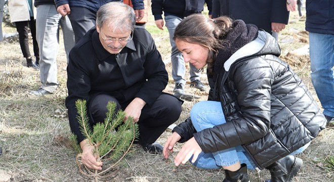 Niğde'de Toprak Dede'nin anısına fidan dikildi