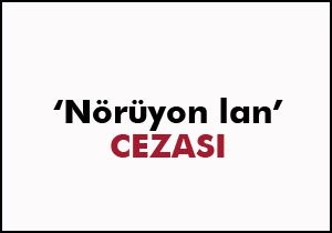  Nörüyon lan goçum dedi, cezayı yedi