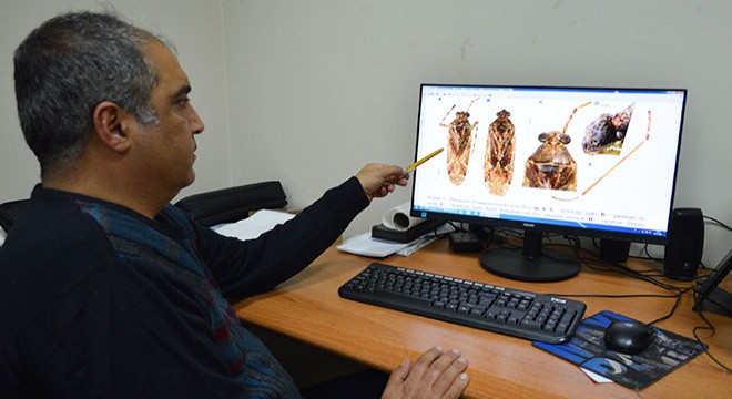 O böceğe eski bakanın adını verdiler
