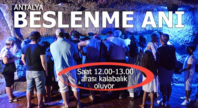 O anı görmek için saat 12.00-13.00 arası geliyorlar