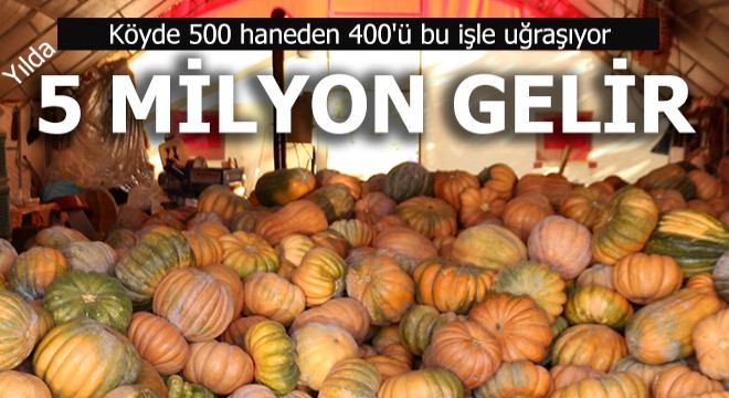 O köy yılda 5 milyon lira kazanıyor