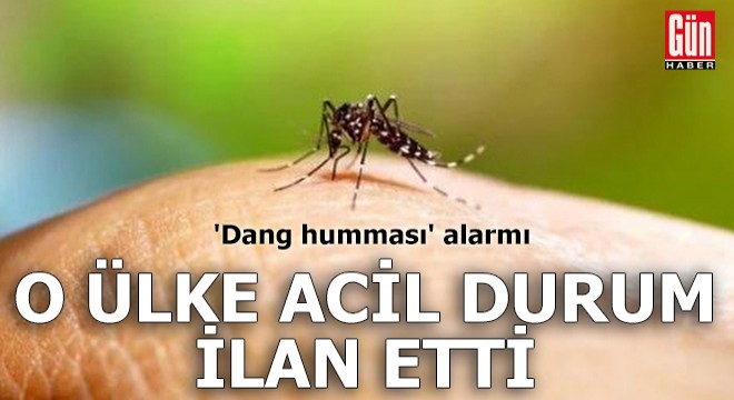 O ülke acil durum ilan etti:  Dang humması  alarmı