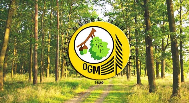 OGM: 71 orman yangınından 57'si kontrol altına alındı