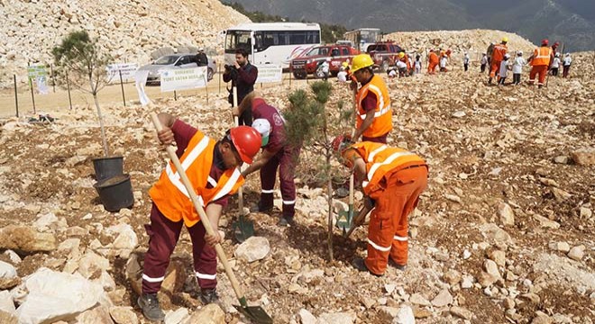 Ocak sahasına fidan dikildi