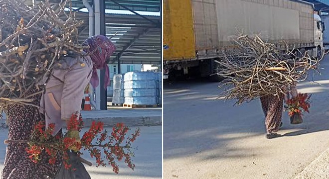 Odunları sırtında taşıyarak depremzedeler için getirdi