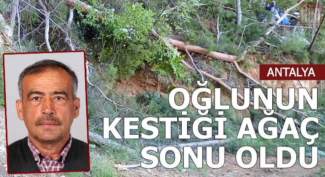Oğlunun kestiği ağaç sonu oldu