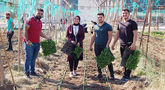 Öğrenciler uygulamalı kışlık sebze ekimi yaptı