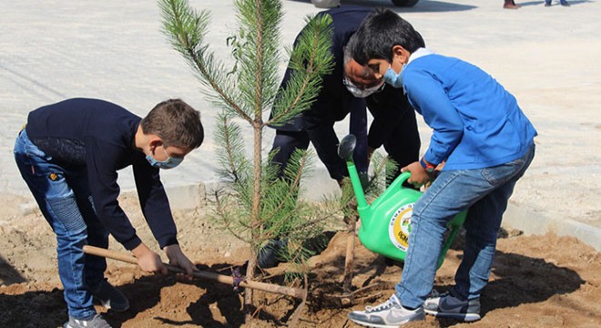 Öğrenciler yüz yüze eğitime fidan dikerek başladı