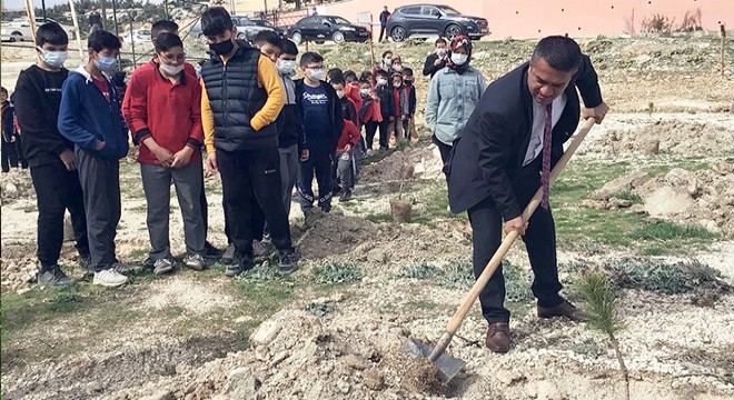 Öğrenciler, okul önünü ağaçlandırdı