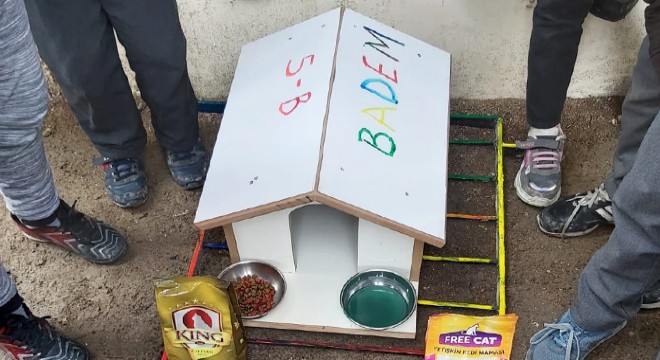 Öğrencilerden okula kedi evi