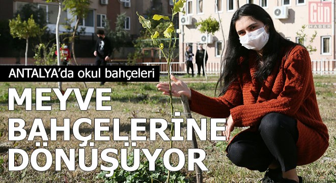 Okul bahçeleri meyve bahçesine dönüşüyor