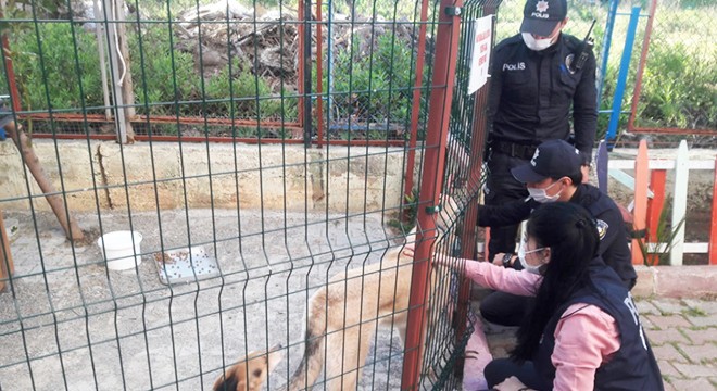 Okuldaki balık ve köpekleri polis besledi