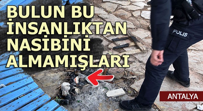 Olacak iş değil