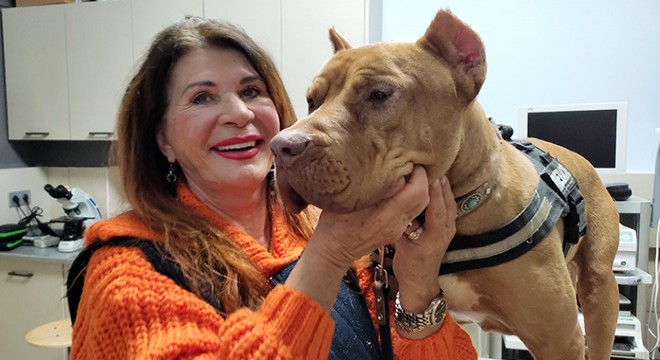 Ölen köpeğin başında bekleyen Jay Jay, yol arkadaşını buldu