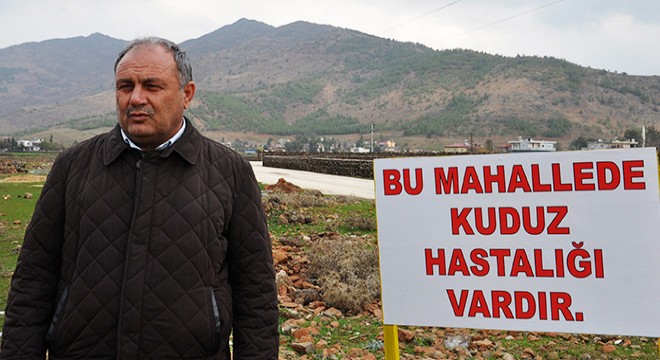 Ölen ineğin kuduz çıktığı mahalle, karantinaya alındı