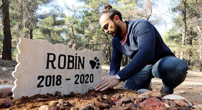 Ölen köpeğine kampüste mezar yaptırdı