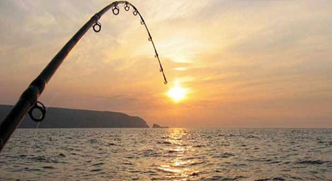 Oltaya balık yerine martı yakalandı