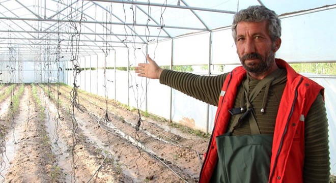 Oltu Çayı taştı, seralar zarar gördü