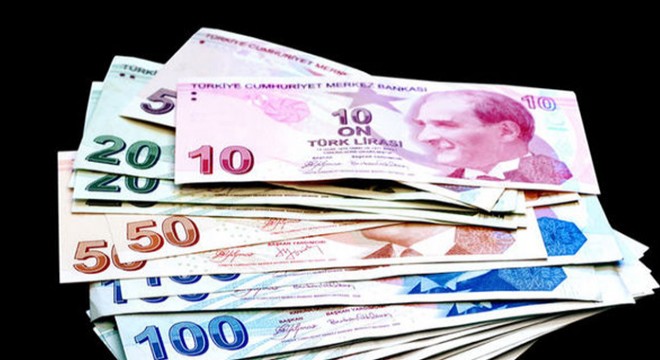 Ölü kuş bulunan otomobildeki 2 kişiye 13 bin lira ceza