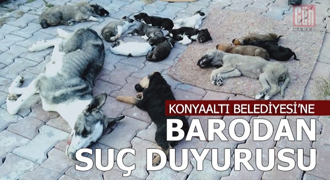 Ölüm barınağı için suç duyurusu