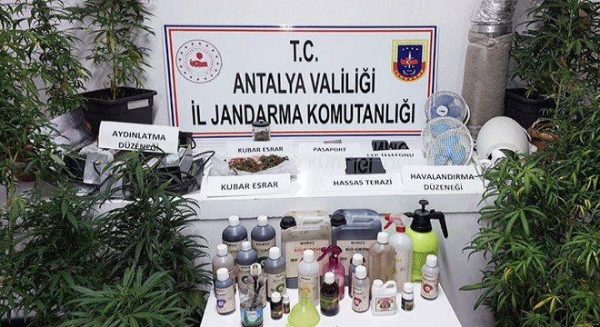 Olympos'ta uyuşturucu baskını