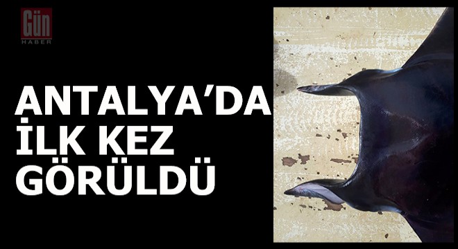 Ona 'Şeytan' diyorlar