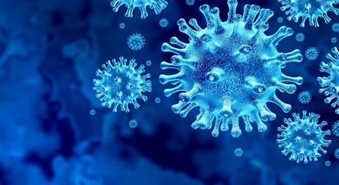 Ordu'da koronavirüs vakaları yeniden artış gösterdi