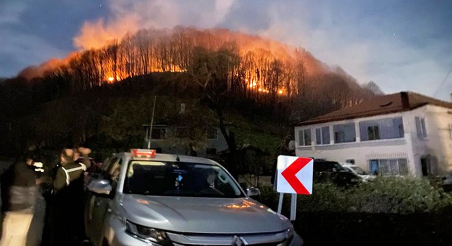 Ordu’da 3 noktada çıkan yangınlar kontrol altına alındı