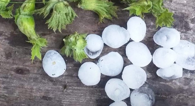 Ordu’ya ceviz büyüklüğünde dolu yağdı