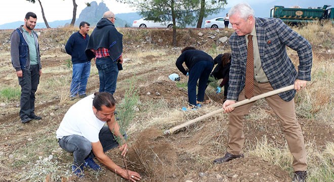 Organ bağışına farkındalık için fidan dikildi