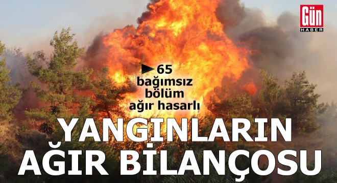Orman yangınlarının ağır bilançosu!