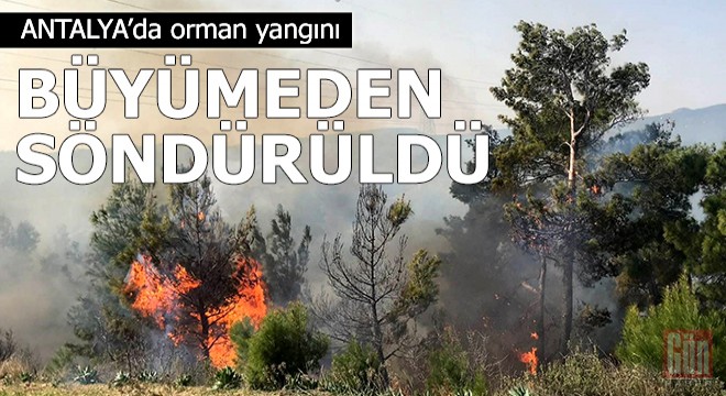 Orman yangını büyümeden söndürüldü