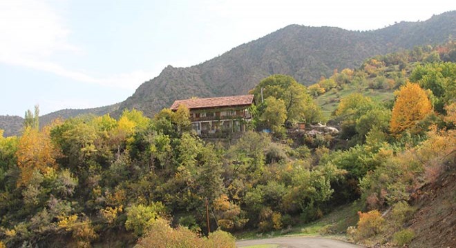 Ormanağzı Mahallesi'nde sonbaharda renk cümbüşü