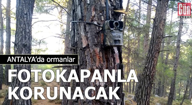 Ormanlar fotokapanla korunacak